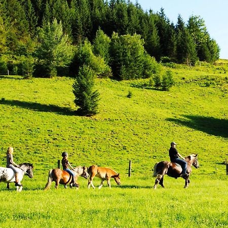 Steinbachgut Villa Flachau Eksteriør bilde