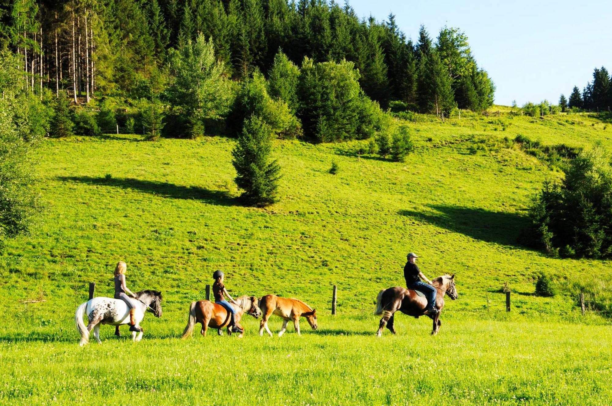 Steinbachgut Villa Flachau Eksteriør bilde