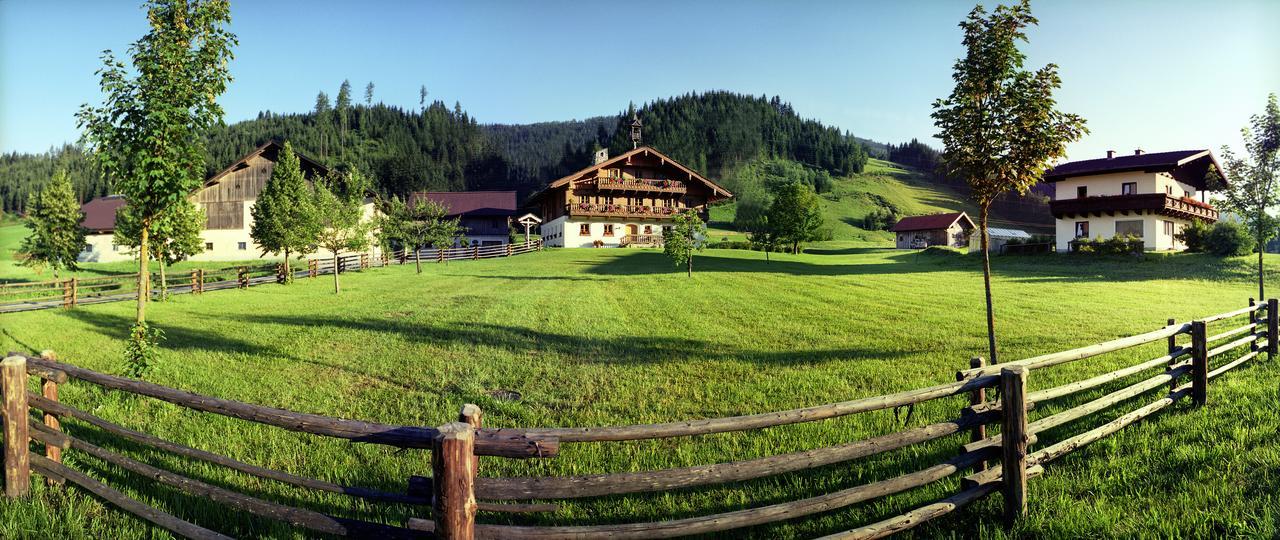 Steinbachgut Villa Flachau Eksteriør bilde
